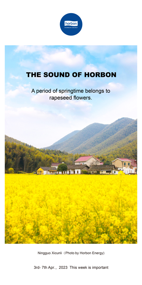 1688365387218288HuWr.jpg 76-和之声(本周很沉要)2022.4.3-4333.jpg