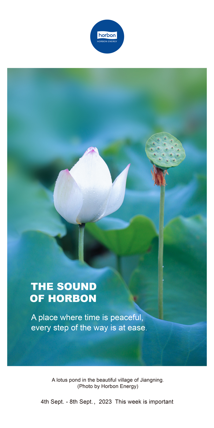 1696646466817585h5jw.jpg 1696646466817585h5jw.jpg