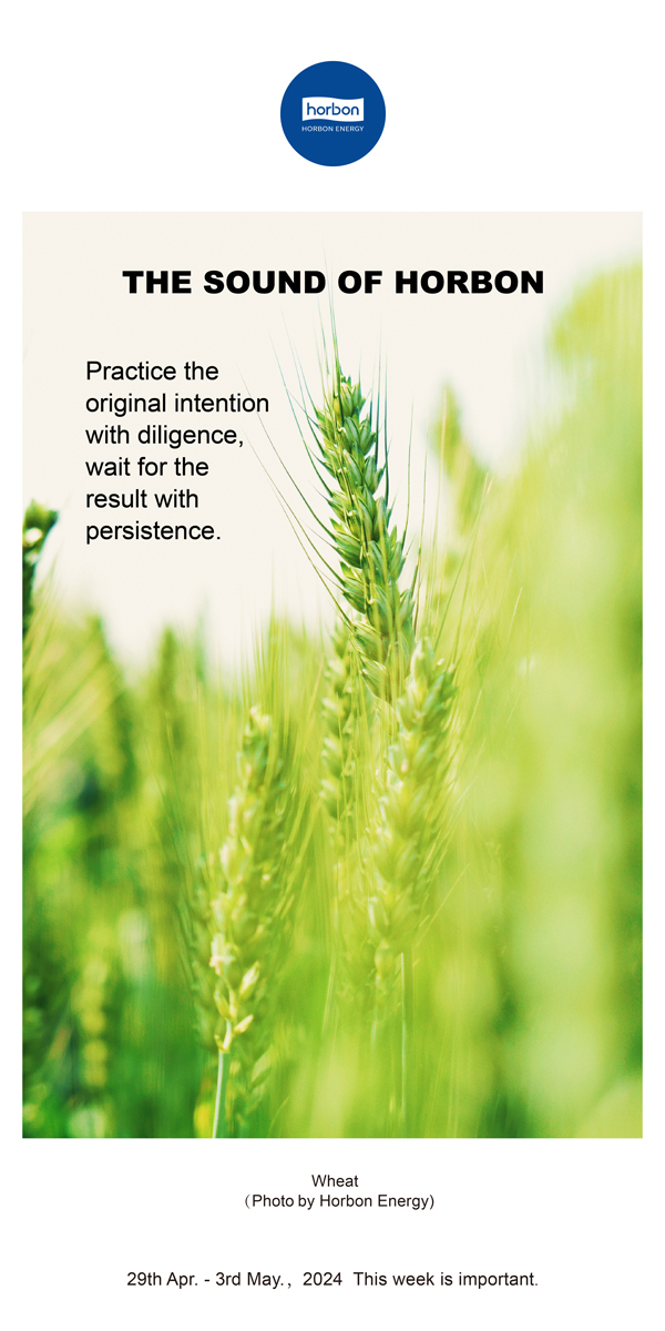 ����֮�������ڿҼ��г������ö����ڴ��˾������ܵ�132�ڣ�2024.4.29-5Ӣ�ĸ��׼���������.jpg