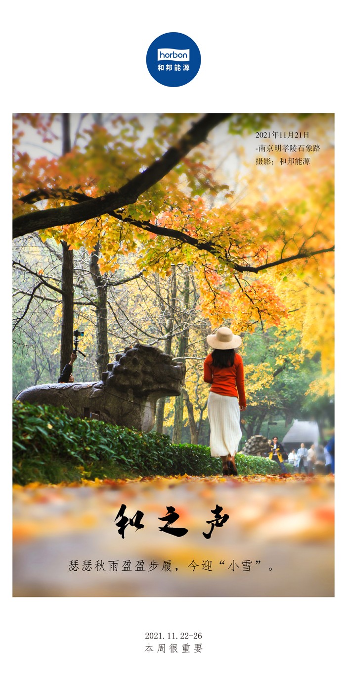 1650783616932014Lh5e.jpg 1650783616932014Lh5e.jpg