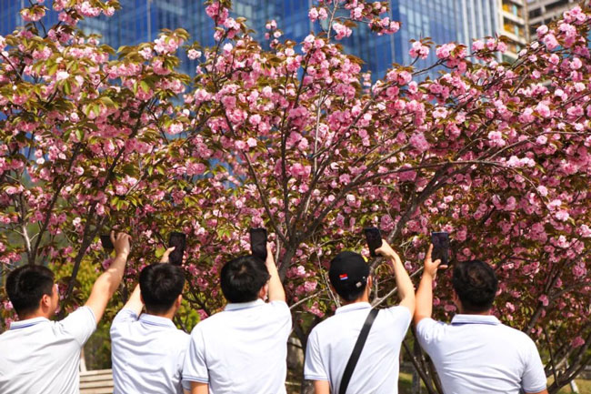 16519046995959782rOA.jpg 16519046995959782rOA.jpg