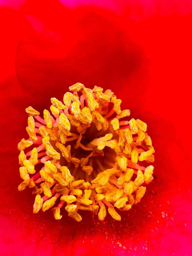 1651905110374802gVPa.jpg 1651905110374802gVPa.jpg