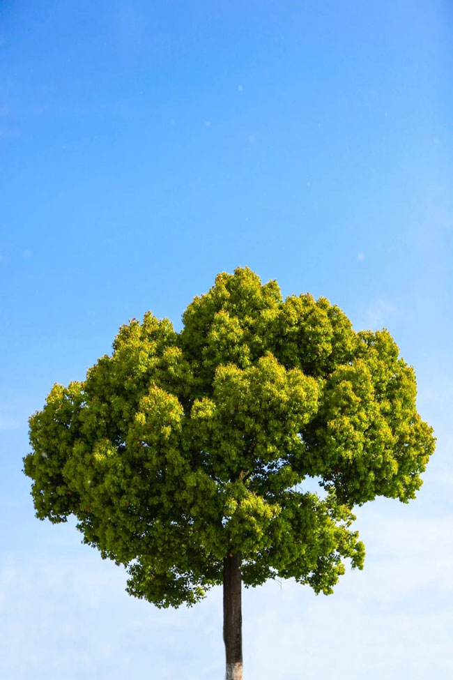 1651905190919392MI8V.jpg 1651905190919392MI8V.jpg