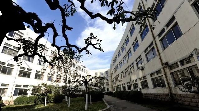 1654501440761988GdU4.jpg 1654501440761988GdU4.jpg