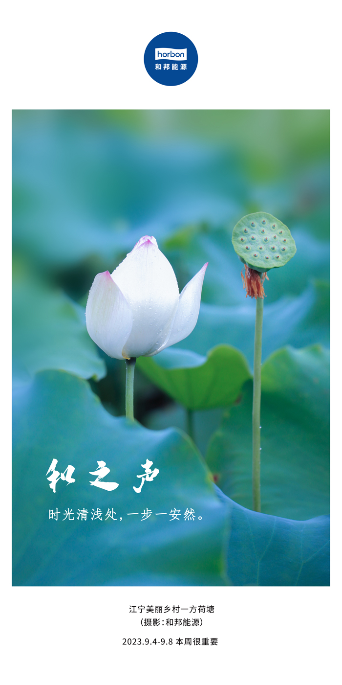 1696641644966034gql2.jpg 1696641644966034gql2.jpg