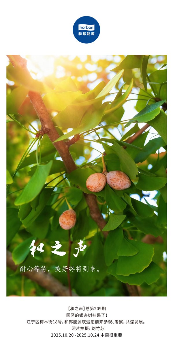 ����֮���������ڴ��������ս�������-(�ܵ�209�ڣ�2025.10.20���ĵ�������������.jpg